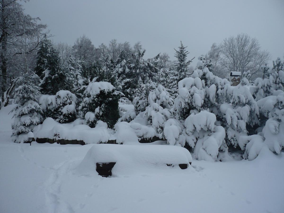 Villa U Myslivce Kamenicky Senov Esterno foto